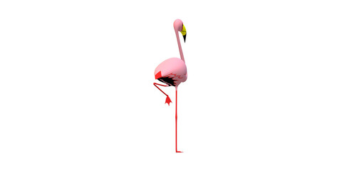 Flamingo isolated on a Transparent Background