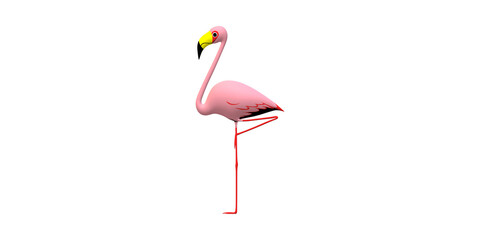 Flamingo isolated on a Transparent Background