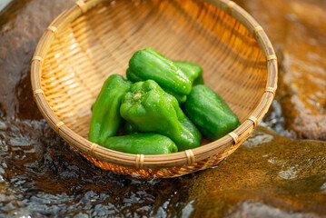 新鮮なピーマン