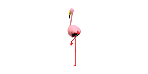 Flamingo isolated on a Transparent Background
