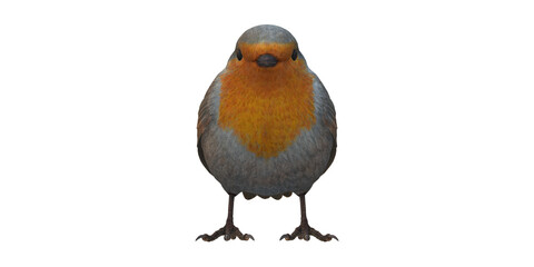 Robin Bird isolated on a Transparent Background