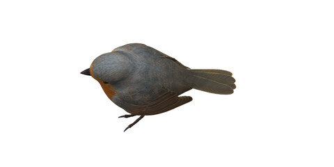 Robin Bird isolated on a Transparent Background