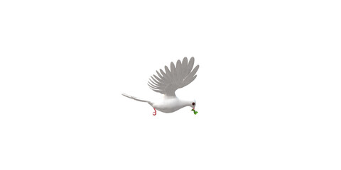Peace Dove isolated on a Transparent Background