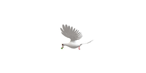 Peace Dove isolated on a Transparent Background