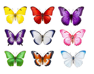 Fototapeta na wymiar full color butterfly PNG transparent file, AI generate