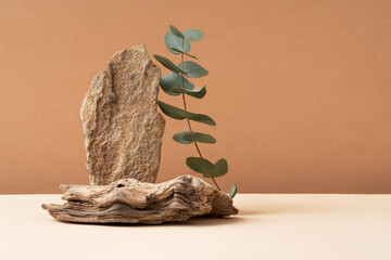 Podium for exhibitions and product presentations material stone, eucalyptus branch. Beautiful beige background made of natural materials. Abstract nature scene with composition.