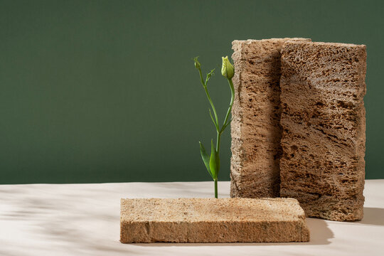 Podium for exhibitions and product presentations material stone, flowers. Beautiful green background made of natural materials. Abstract nature scene with composition.