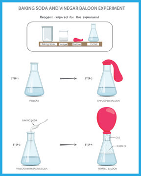 Baking Soda and Vinegar Balloon Science experiment. Baking soda and vinegar experiment vector illustration. Chemistry experiment with baking soda and viniger. chemistry project experiment. 