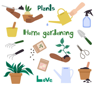 Set of home gardening elements design in flat style. Plants in pots, seeds, watering can, garden tools. Hands holding a plant.