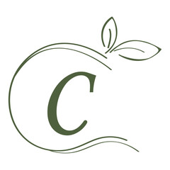 letter logo vector illustration design