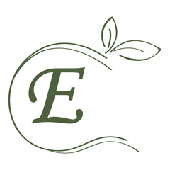 letter logo vector illustration design