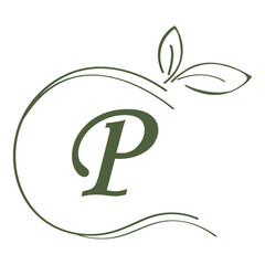 letter logo vector illustration design