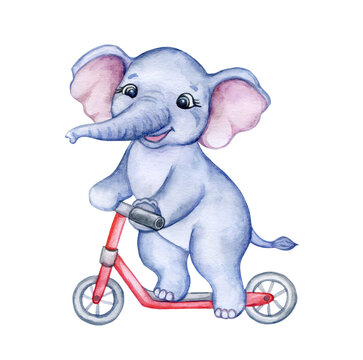 Cute baby elephant rides a scooter, children's illustration. Watercolor isolated on white background