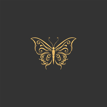Butterfly  logo design vector illustration