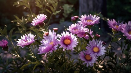 Obraz premium flowers in the garden