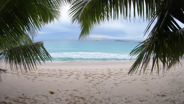Palm trees by the sea in Anse Lazio beach. Praslin island, Seychelles
