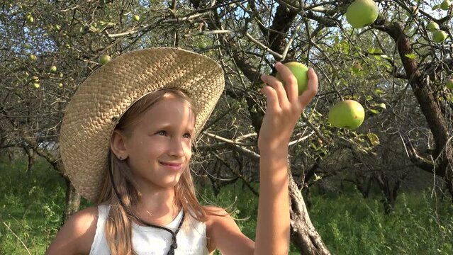 Child Eating Apple, Girl in Orchard, Kid Tasting Fruits in Tree, Farmer Blonde Girl at Village at Countryside