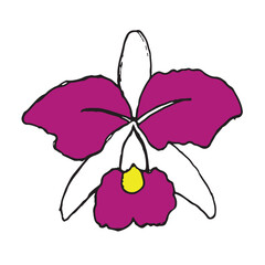 Orquídea