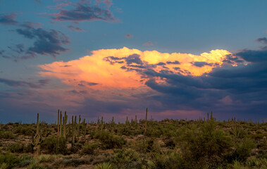 Monsoon Thunderhead Storm Clouds Near Scottsdale AZ