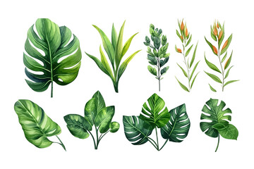 Set plants elements. Flat hand-drawn illustration isolated on white background. Generative AI - obrazy, fototapety, plakaty