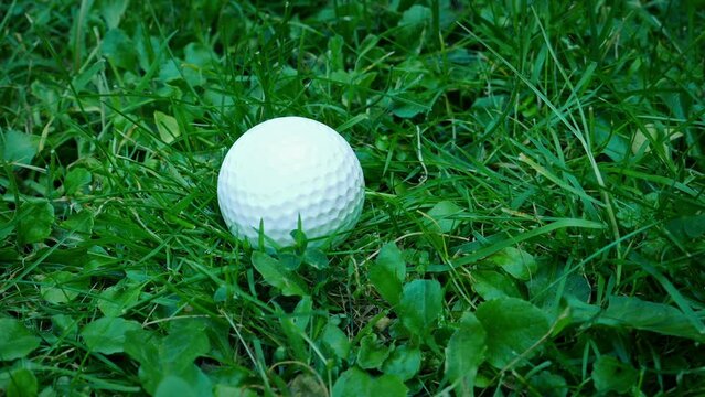 Golf Ball Lands In The Rough Outside Course