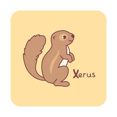 Vector square card from the alphabet with a cute animal for kids learning. The letter  X - xerus. Illustration with caption. Hand-drawn character on a yellow background with a white frame