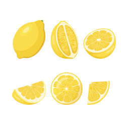Whole yellow lemon with lemon fruit slice, round slices. Pieces of lemon citrus fruit, vector illustration. - obrazy, fototapety, plakaty