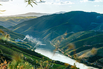 Viewpoint view of terraced vineyards at romantic in Douro valley near Pinhao village, heritage of humanity - obrazy, fototapety, plakaty