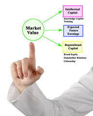 Three Drivers of Market Value.