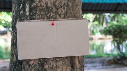 Blank brown paper sign on a tree trunk, concept for forests and environment saving and preservation                               
