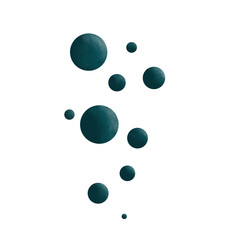 anemone on white background