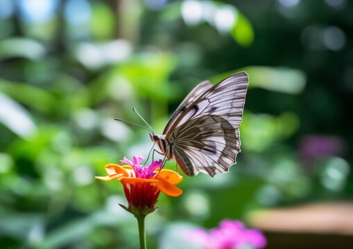 Close-up of a Butterfly on a Vibrant Flower. Generative AI.