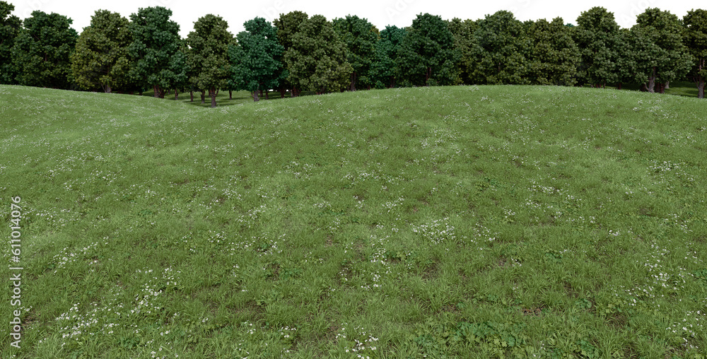 Fototapete realistic grass hill and forest tree line. 3d rendering of isolated objects.