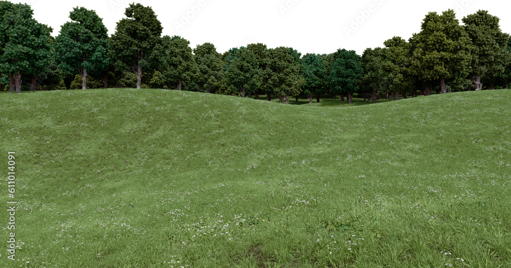 Fototapete realistic grass hill and forest tree line. 3d rendering of isolated objects.