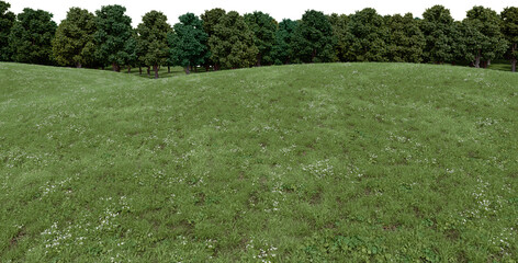 Realistic grass hill and forest tree line. 3d rendering of isolated objects.