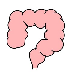 大腸