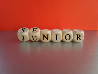 From junior to senior symbol. Turned cubes and changed the word 'junior' to 'senior'. Beautiful grey table, red background, copy space. Business and junior or senior concept.