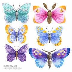 Fototapeta na wymiar Watercolor set of butterfly isolated on white background. Handpaiting watercolor illustration on white background.
