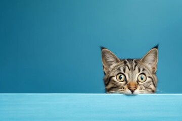 Frightened Cat Peeks Behind Corner. Generative AI