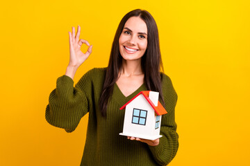 Fototapeta na wymiar Photo of charming cheerful person hold little house demonstrate okey symbol isolated on yellow color background