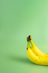 Ripe yellow bananas stand out against a lush green backdrop. Vibrant yellow bananas contrast beautifully with the vibrant green background. - obrazy, fototapety, plakaty