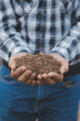 Organic farm ,Worker testing and collect environment data from bok choy organic vegetable at greenhouse farm garden.