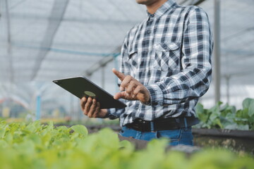 Organic farm ,Worker testing and collect environment data from bok choy organic vegetable at greenhouse farm garden.