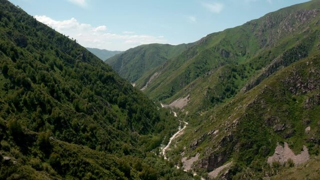 This stock video shows mountains overgrown with trees and other vegetation. The mountains were taken on a summer, sunny day. This video will decorate your projects related to nature, mountains, summer