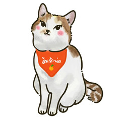 cute cat orange