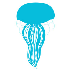 Sky blue jellyfish 