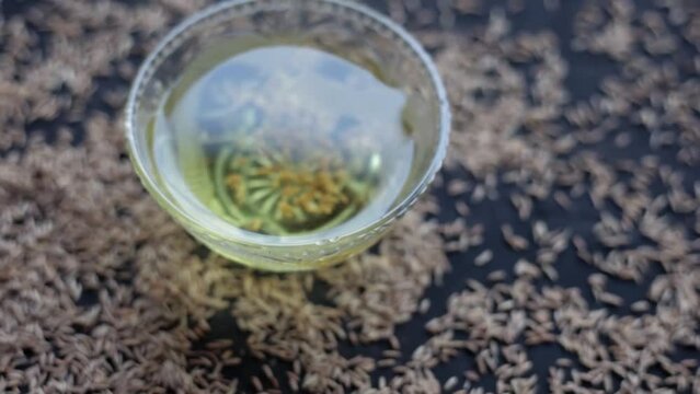 The Cinematic close-up shot of cumin seeds or zeera aka jeera (Cuminum cyminum) in a glass bowl along with its extracted water, Hd footage 24 FPS