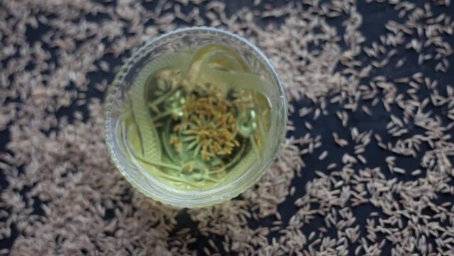 The Cinematic close-up shot of cumin seeds or zeera aka jeera (Cuminum cyminum) in a glass bowl along with its extracted water, Hd footage 24 FPS