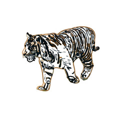 Color sketch of a striped tiger with transparent background