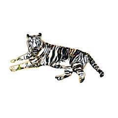 Color sketch of a striped tiger with transparent background